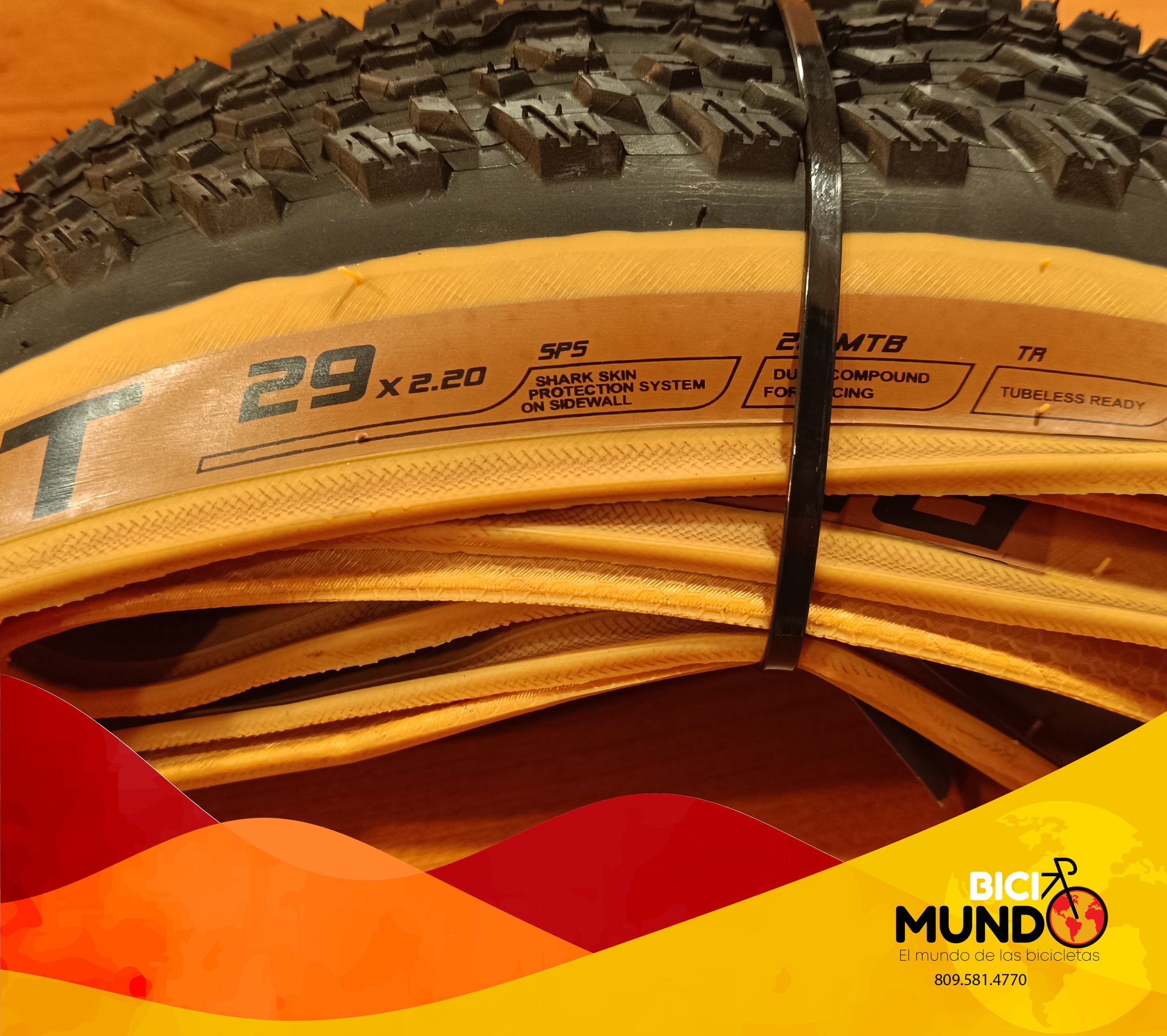CHAOYANG Hornet MTB Reifen 29x2.20 Zoll – Tubeless Ready, 60tpi, Schwarz