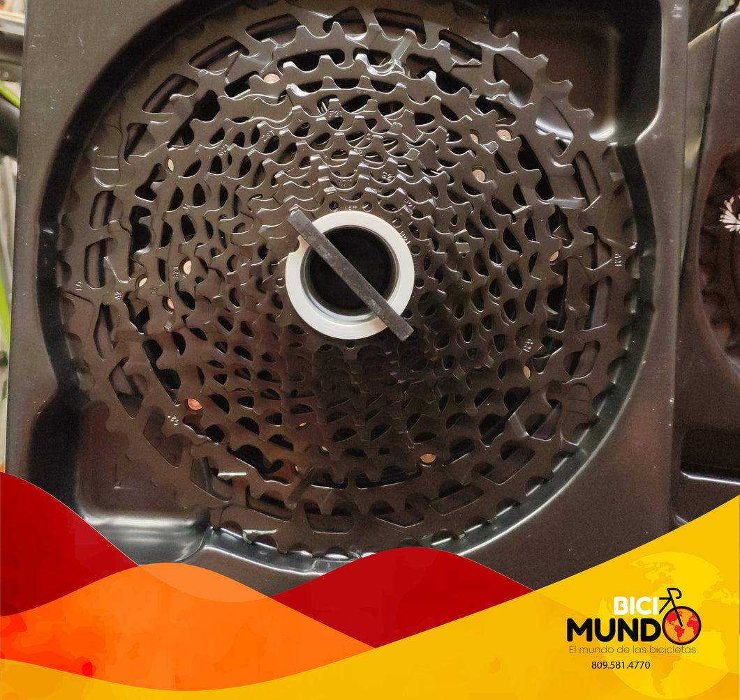 Cassette Sram NX 12V 11-50T PG-1230 – Bicimundo